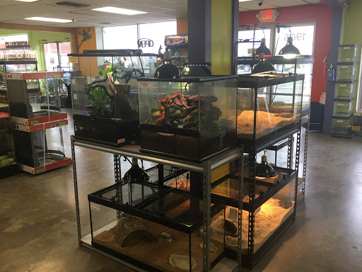 Pet Store «Tye-Dyed Iguana - Reptiles», reviews and photos, 1905 W U.S. 50, Fairview Heights, IL 62208, USA