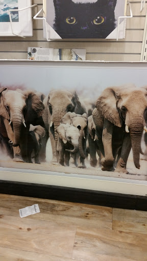 Department Store «HomeGoods», reviews and photos, 803 Goucher Blvd, Towson, MD 21286, USA