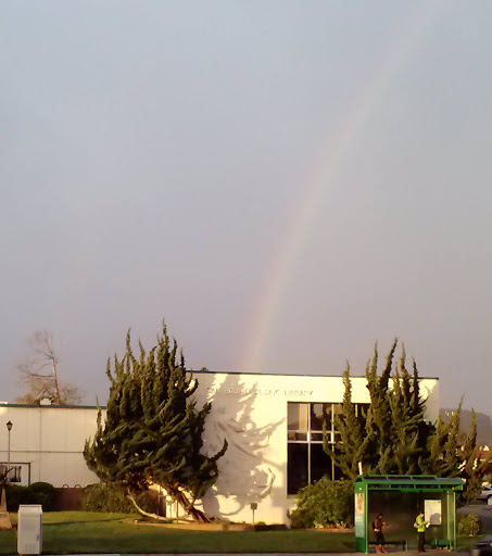 San Bruno Library image