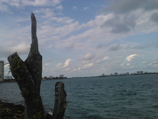 Park «Biscayne Shores and Gardens Park», reviews and photos, 11525 NE 14th Ave, Miami, FL 33161, USA