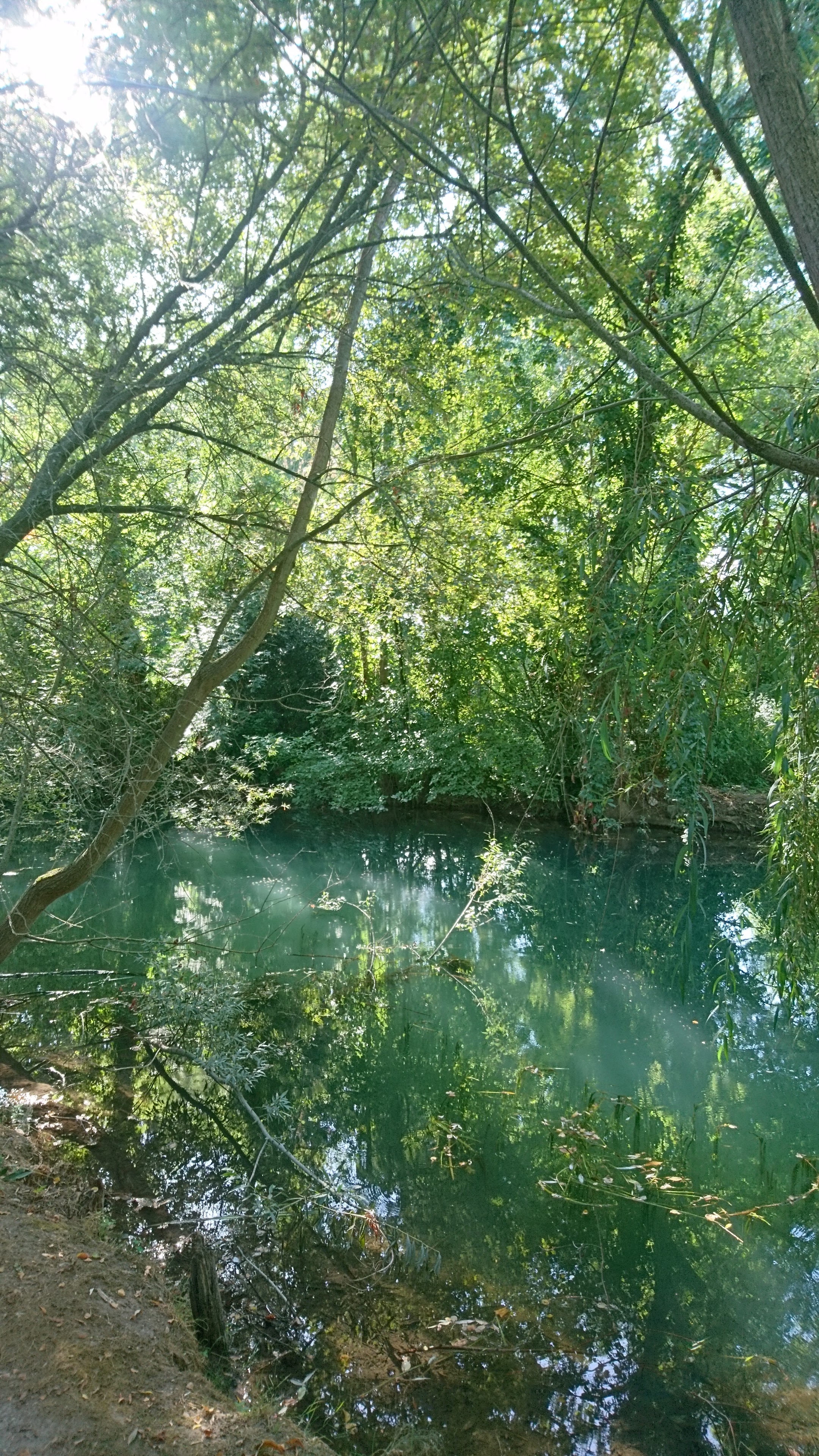 Photo n° 6 de l'avis de Fred.e fait le 02/09/2019 à 10:07