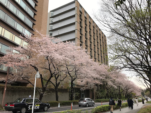 Graduate School of Pharmaceutical Sciences, Faculty of Pharmaceutical Sciences, The University of Tokyo