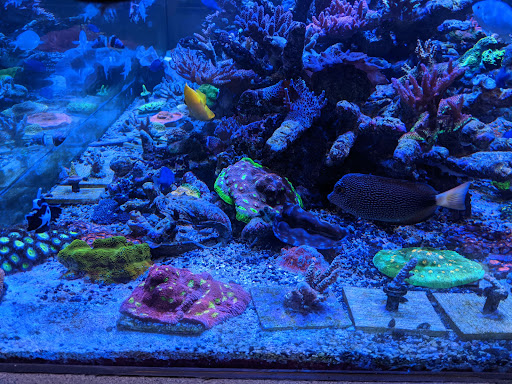 Pet Store «Aqua Hut», reviews and photos, 17424 Airline Hwy #7, Prairieville, LA 70769, USA