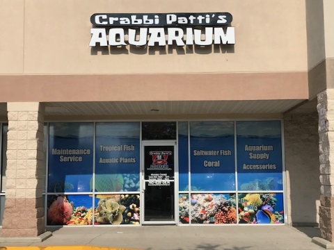 Crabbi Pattis Aquarium Shop