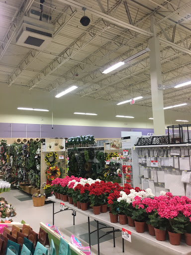 Fabric Store «Jo-Ann Fabrics and Crafts», reviews and photos, 11215 Causeway Blvd, Brandon, FL 33511, USA