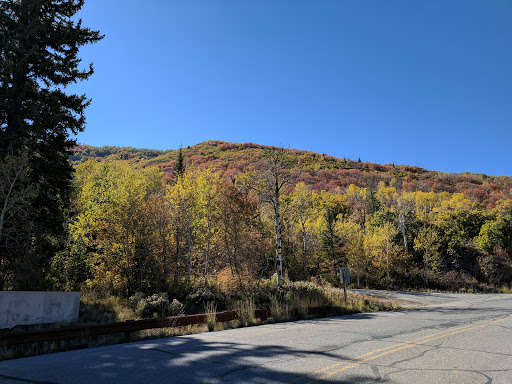 Tourist Attraction «Utah Olympic Park», reviews and photos, 3419 Olympic Pkwy, Park City, UT 84098, USA