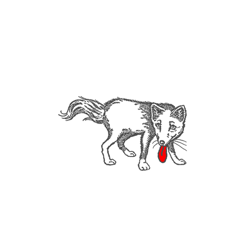 Lingerie Store «Brooklyn Fox Lingerie», reviews and photos, 200 Bedford Ave, Brooklyn, NY 11211, USA