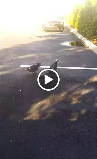 Community Center «Senator Gwen Margolis Community Center», reviews and photos, 1590 NE 123rd St, North Miami, FL 33161, USA