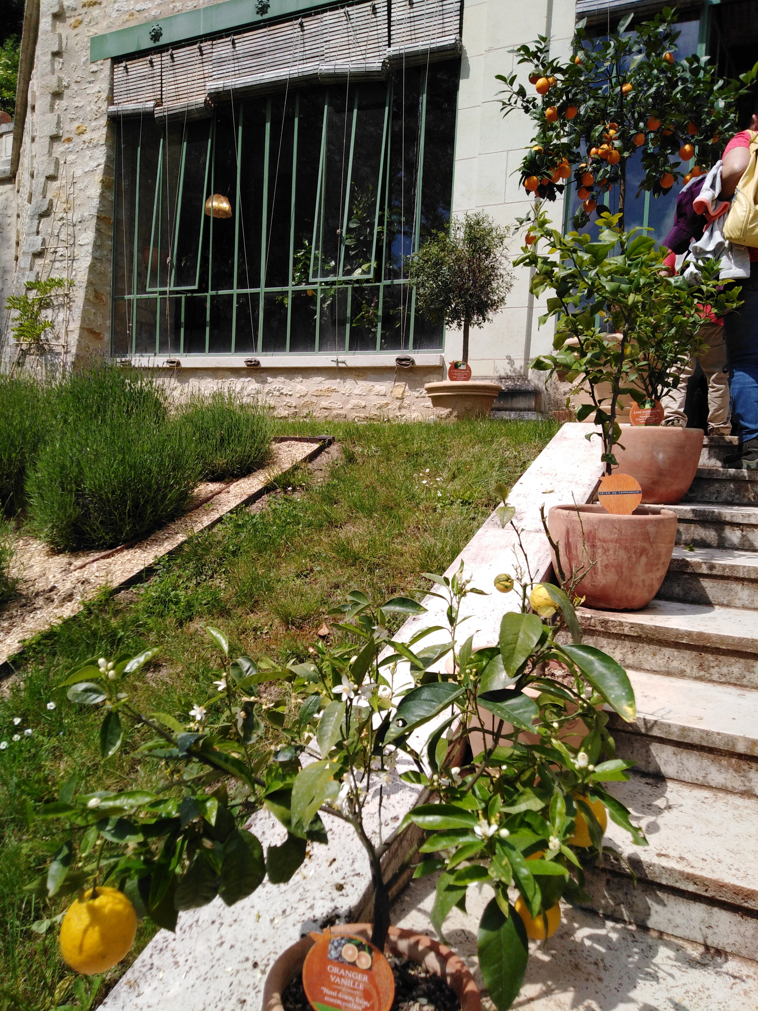 Photo n° 19 de l'avis de Josette.i fait le 07/06/2019 à 07:16