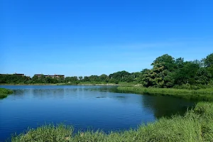 Marine Park Salt Marsh Nature Trail image