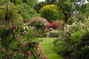 Christchurch Botanic Gardens image