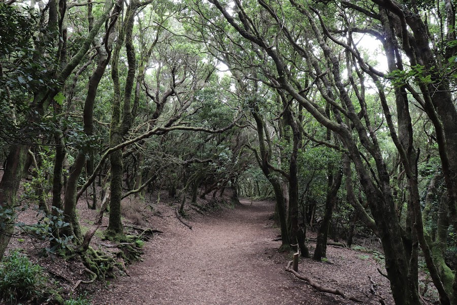 Mirador de Jardina