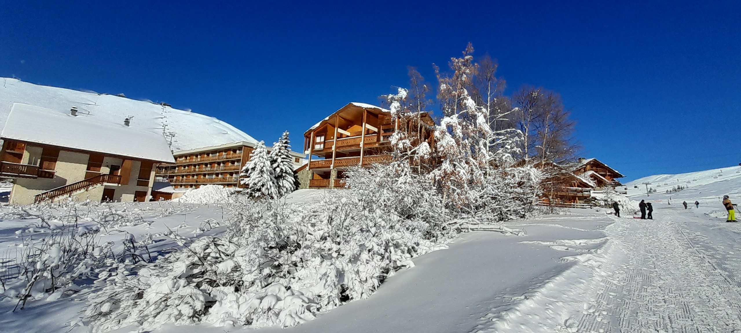 Photo n° 1 de l'avis de CHARTREUSE.4 fait le 03/12/2023 à 17:23