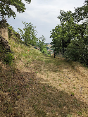 Bois du suze à Claveyson