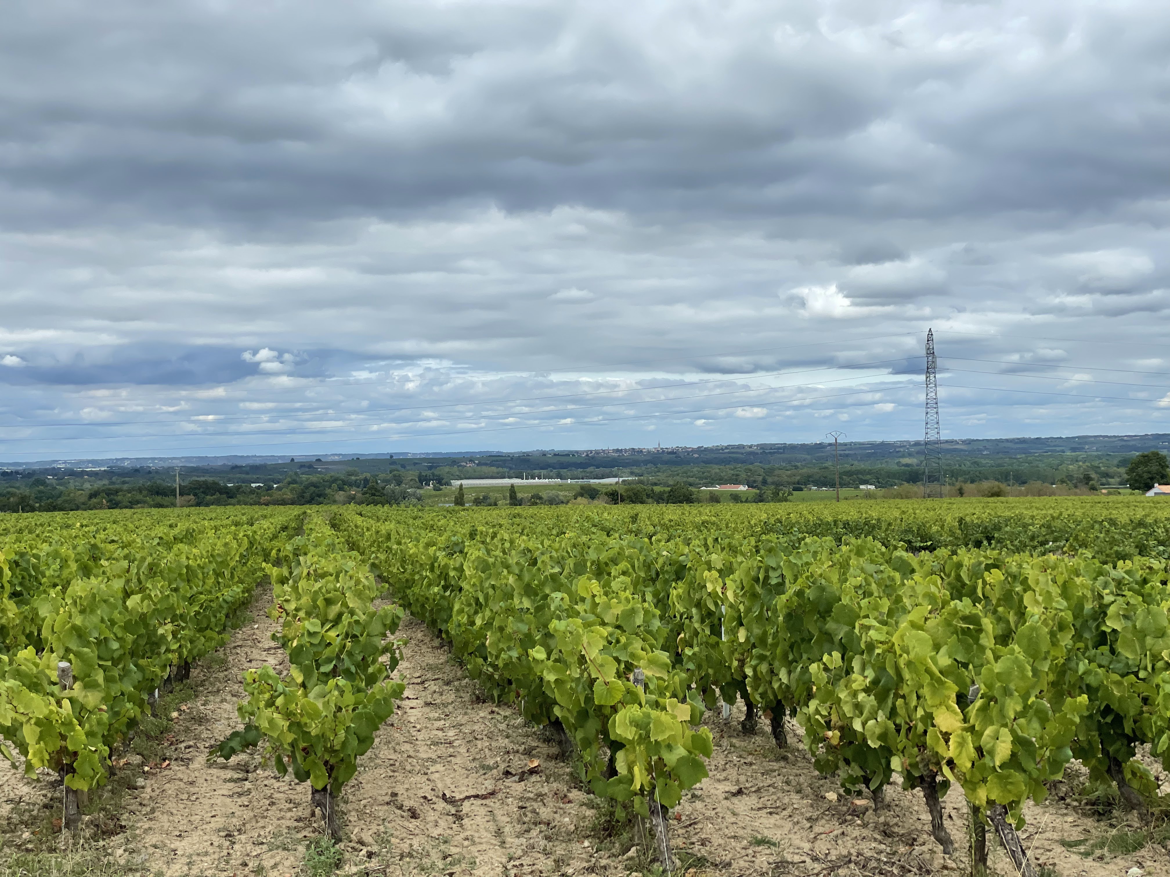 Photo n° 5 de l'avis de Grzegorz.a fait le 07/09/2022 à 19:07