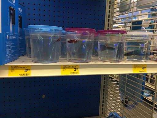 Pet Supply Store «PetSmart», reviews and photos, 13764 W Bell Rd, Surprise, AZ 85374, USA