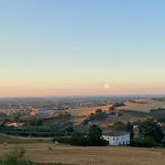 Photo n°1 de l'avis de Simona.n fait le 07/08/2022 à 14:33 sur le  Trattoria Il Vecchio Campanile à Santarcangelo di Romagna