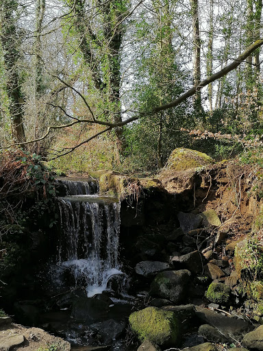 Rivelin Valley Trail