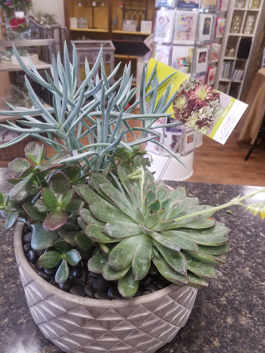 Florist «Maple Grove Floral», reviews and photos, 13708 83rd Way N, Maple Grove, MN 55369, USA