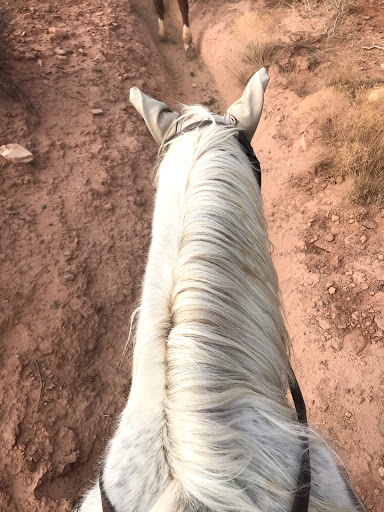Horse riding in Las Vegas