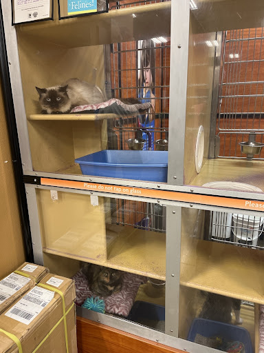 Pet Supply Store «PetSmart», reviews and photos, 3093 E Main St, Russellville, AR 72802, USA