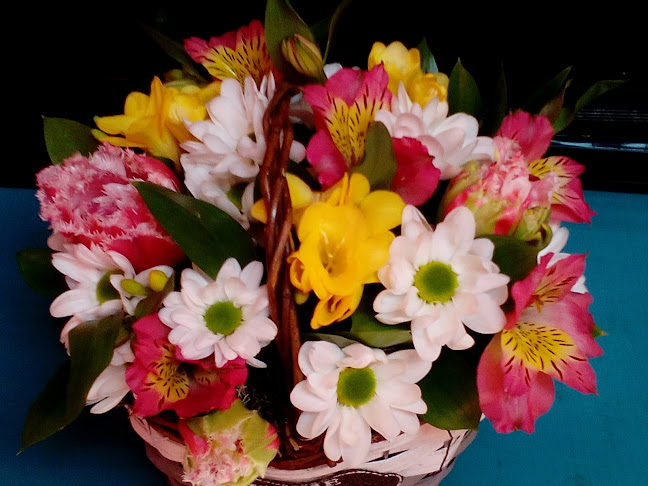Отзиви за Доставка на цветя Сливен Цветарница Двете Ю в Сливен - Цветарница