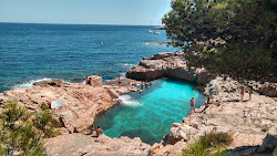 Photo de Cala n'Estasia zone sauvage