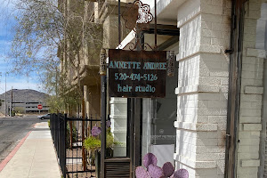 Annette Andree Hair Studio LLC