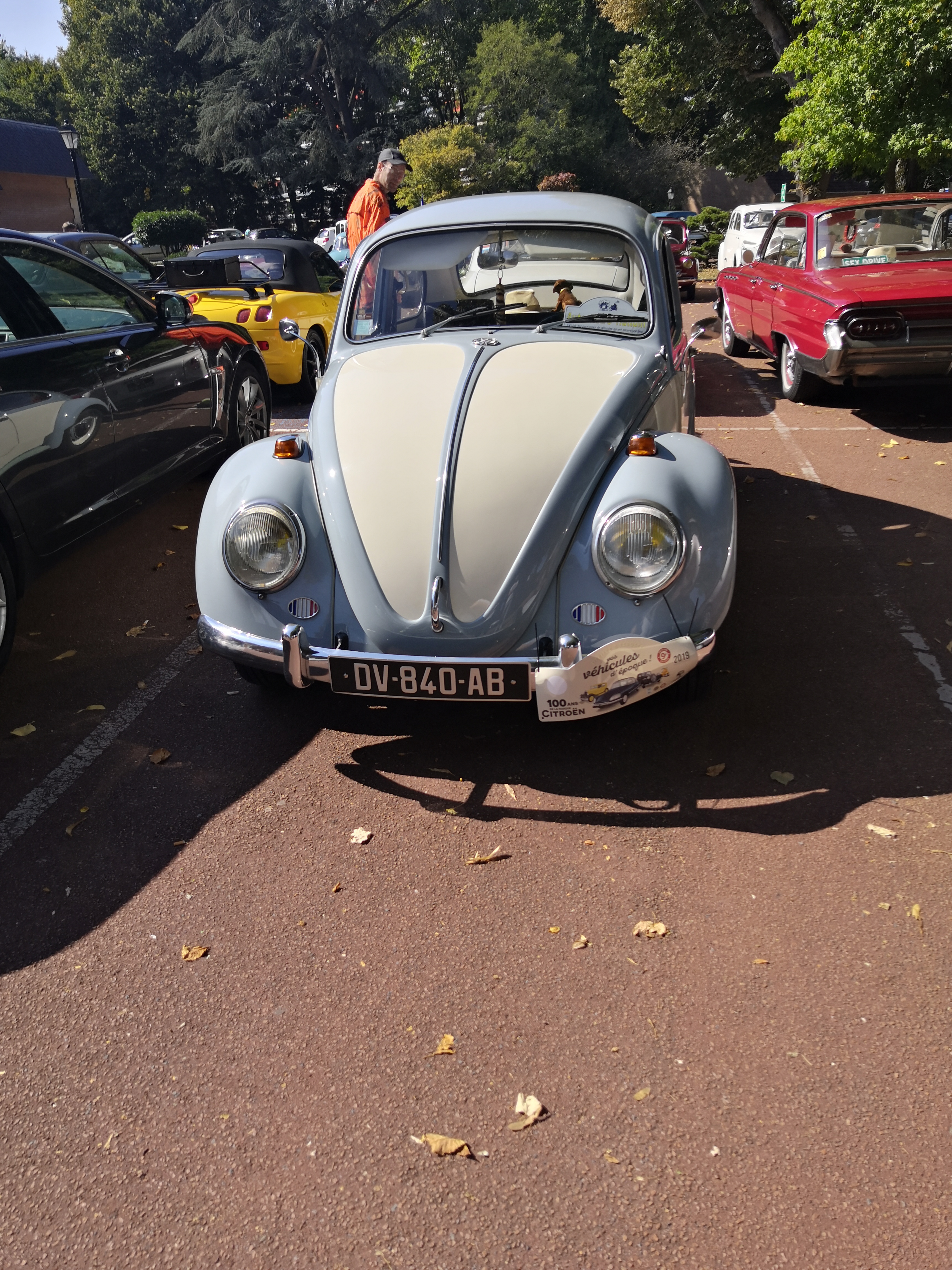 Photo n° 11 de l'avis de Chouby.h fait le 17/09/2019 à 06:15