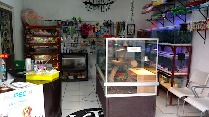 Reptilia Clinica Veterinaria & Tienda De Mascotas