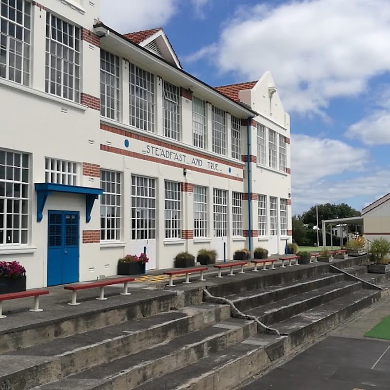 Ponsonby Primary School