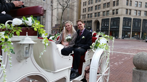 Carriage Ride Service «Blue Ribbon Carriages», reviews and photos, 1 Monument Cir, Indianapolis, IN 46204, USA