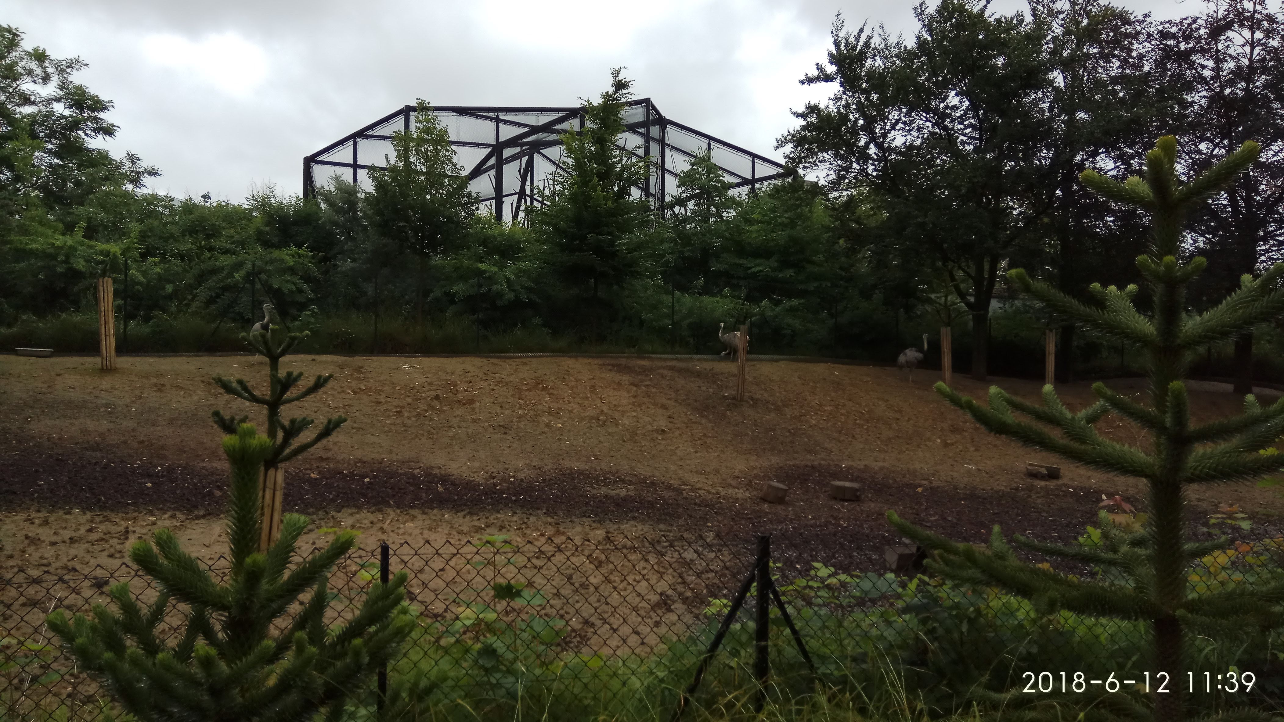 Photo n° 48 de l'avis de Swiss.e fait le 15/06/2018 à 19:24