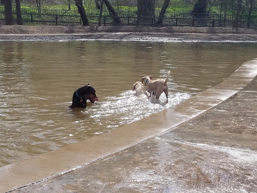 Johnny Steele Dog Park