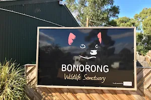 Bonorong Wildlife Sanctuary image