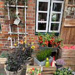 Photo n°3 de l'avis de Mark.e fait le 02/10/2023 à 22:29 sur le  Friederikenhof Hotel Restaurant & Spa - Betriebsgesellschaft Friederikenhof GmbH à Lübeck