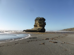 Foto von Punakaiki Beach mit langer gerader strand