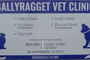 Michael Bergin Ballyragget Veterinary Clinic image