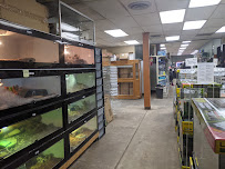 Twin Cities Reptiles - Photo 8 - Car repair in St Paul, MN, Minneapolis