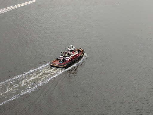 Bridge «Arthur Ravenel Bridge», reviews and photos, Arthur Ravenel Jr Bridge, Charleston, SC 29403, USA