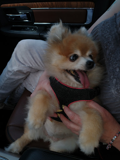 Pet Supply Store «PetSmart», reviews and photos, 1410 NE 23rd St, Pompano Beach, FL 33062, USA