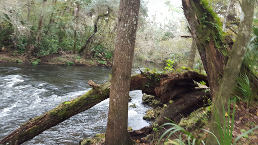 Cafe «Hillsborough State Park Poolside Cafe», reviews and photos, 15402 U.S. 301, Thonotosassa, FL 33592, USA