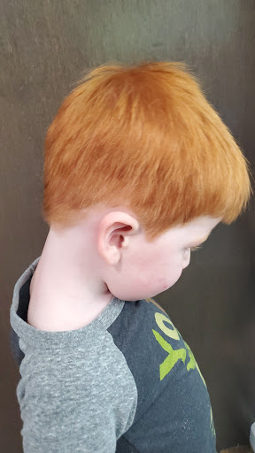 Barber Shop «Masters Styling Shop», reviews and photos, 209 Mill St, Danville, PA 17821, USA