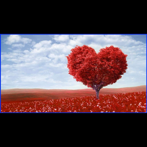 Florist «Riverside Flowers & Gifts», reviews and photos, 1271 Columbia Ave #3, Riverside, CA 92507, USA