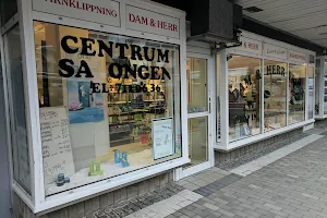 Centrumsalongen image