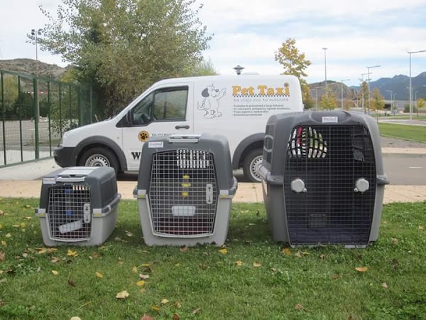 Residencia Canina Bailo