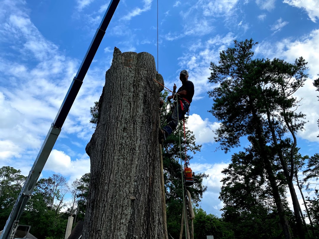 Grays Tree Services