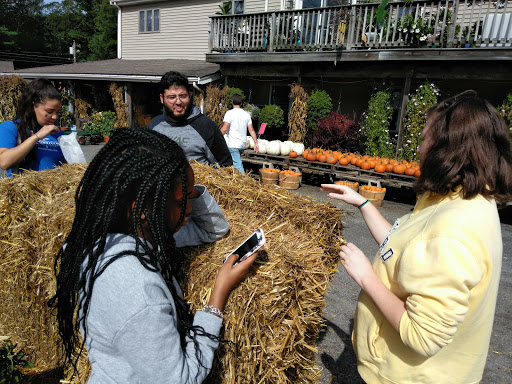 Farm «Fairmount Fruit Farm», reviews and photos, 887 Lincoln Street, Franklin, MA 02038, USA