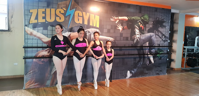 Zeu's Gym - Quito