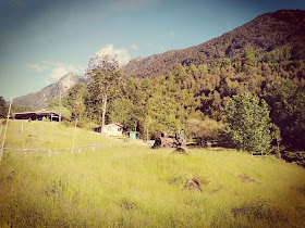 Termas de Cerrillos